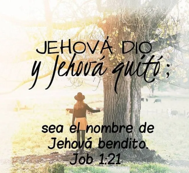 porque-quitaron-el-nombre-de-jehova-en-la-biblia