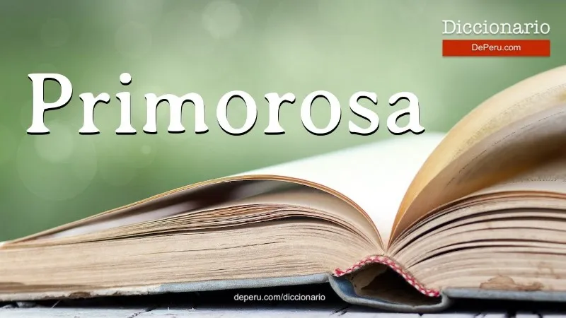 primorosa-significado