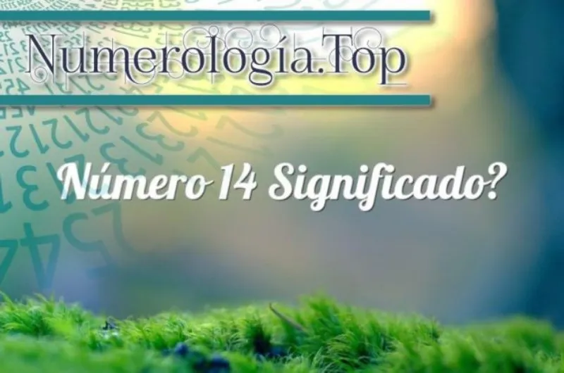q-significa-el-numero-14