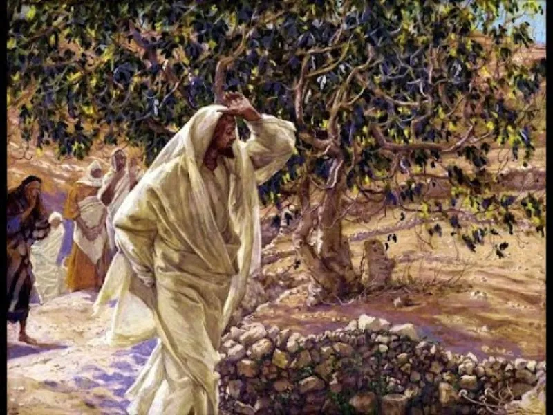 que-planta-maldijo-jesus