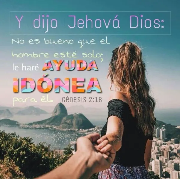 que-significa-ayuda-idonea