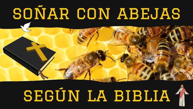 que-significa-sonar-con-abejas-segun-la-biblia