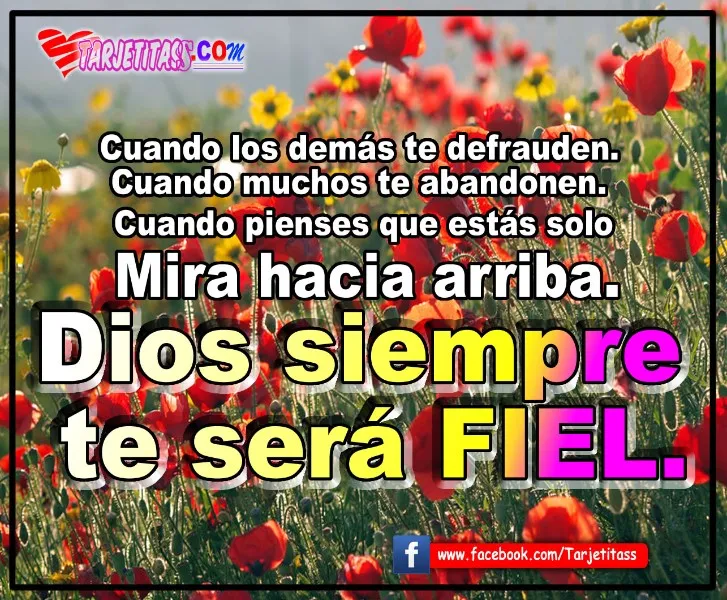 reflexiones-cristianas-con-moraleja