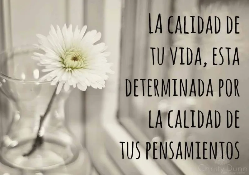 reflexiones-diarios