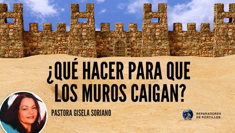 reparador-de-portillos