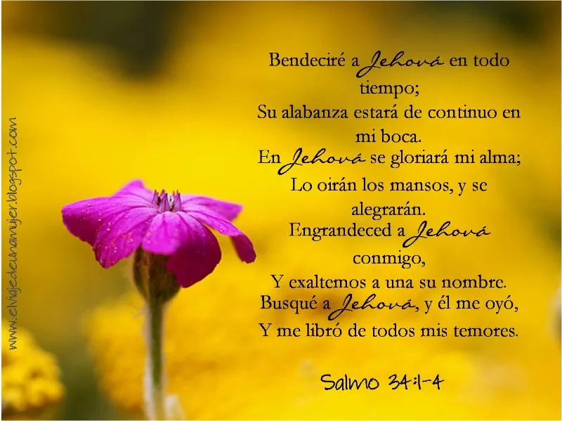 salmo-34-en-espanol
