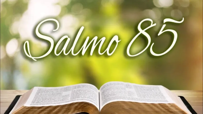 salmo-85