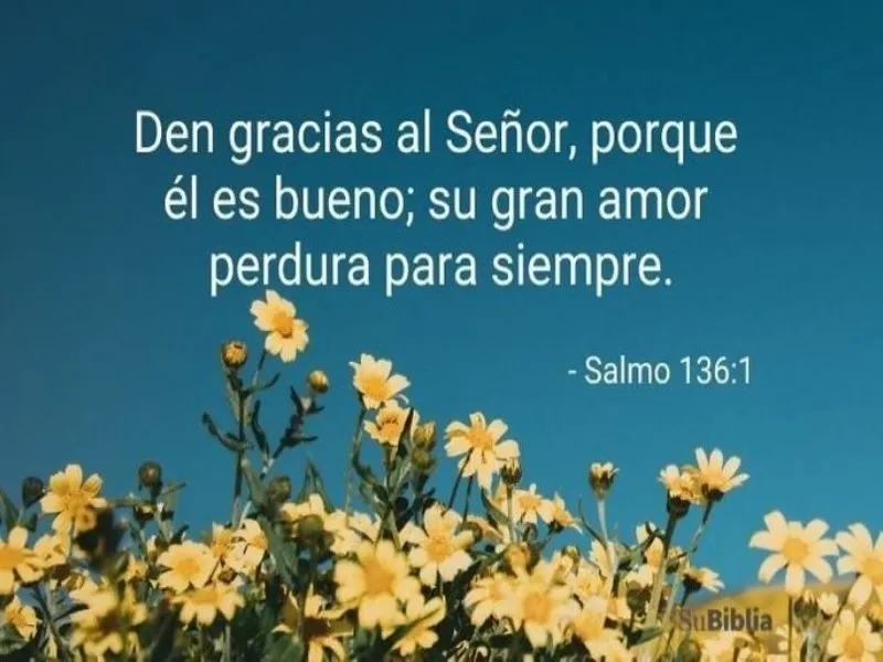 salmo-para-dar-gracias-a-dios