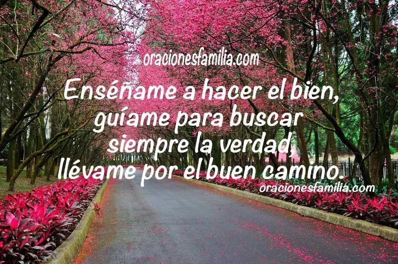 salmo-para-empezar-el-dia