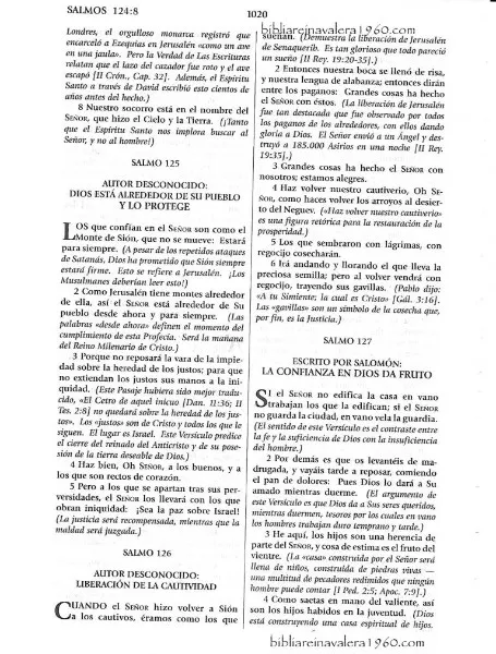 salmos-127-explicacion