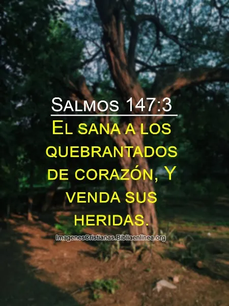 salmos-147