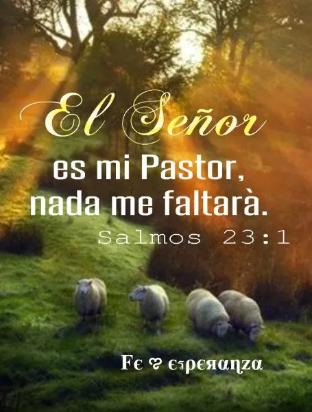salmos-23-1-6