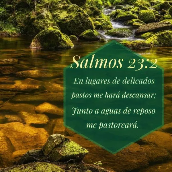 salmos-23-1-6