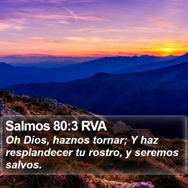 salmos-80