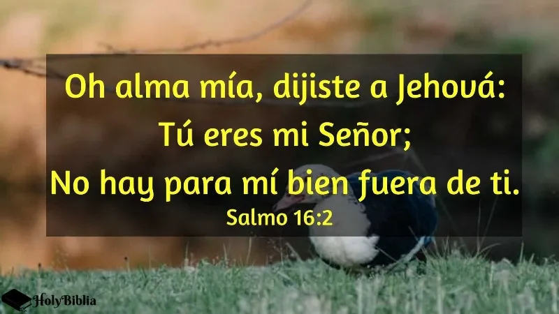 salmos-dia