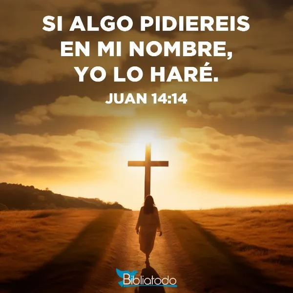 san-juan-14-14