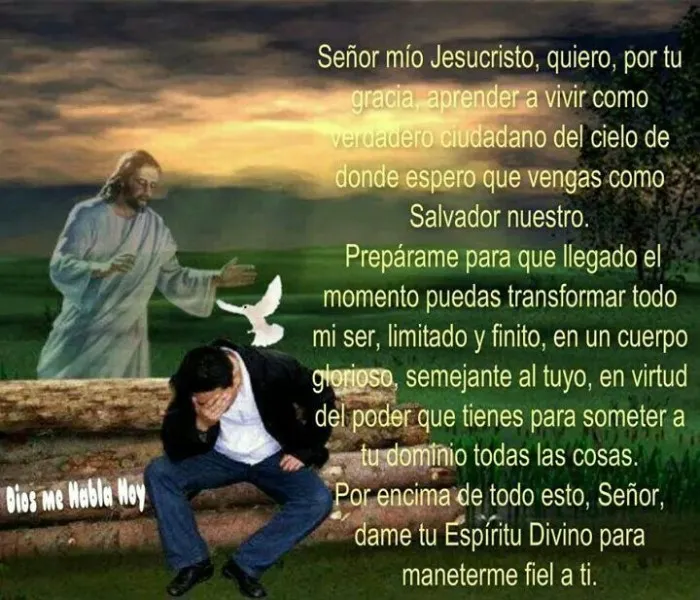 senor-mio-jesucristo