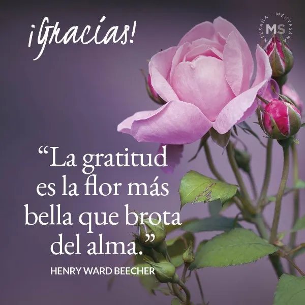 ser-agradecido-reflexion