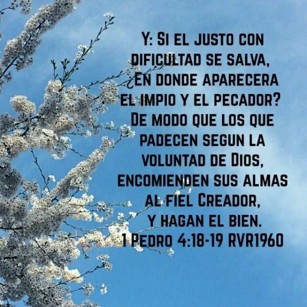 si-el-justo-con-dificultad-se-salva