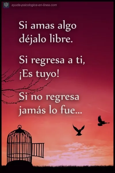 si-no-lo-puedes-tener-mejor-dejalo-ir
