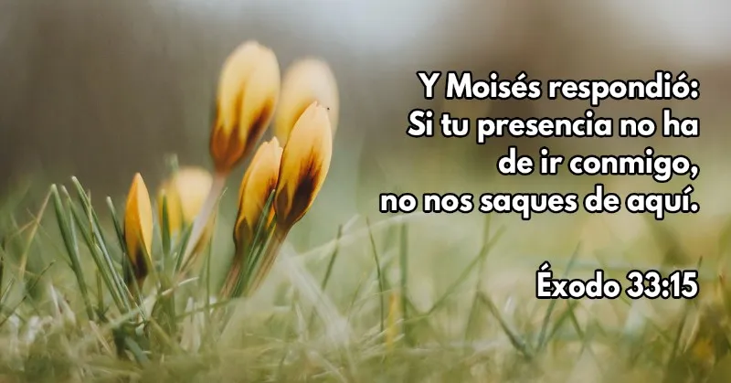 si-tu-presencia-conmigo-no-va-biblia