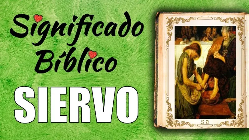 siervo-definicion