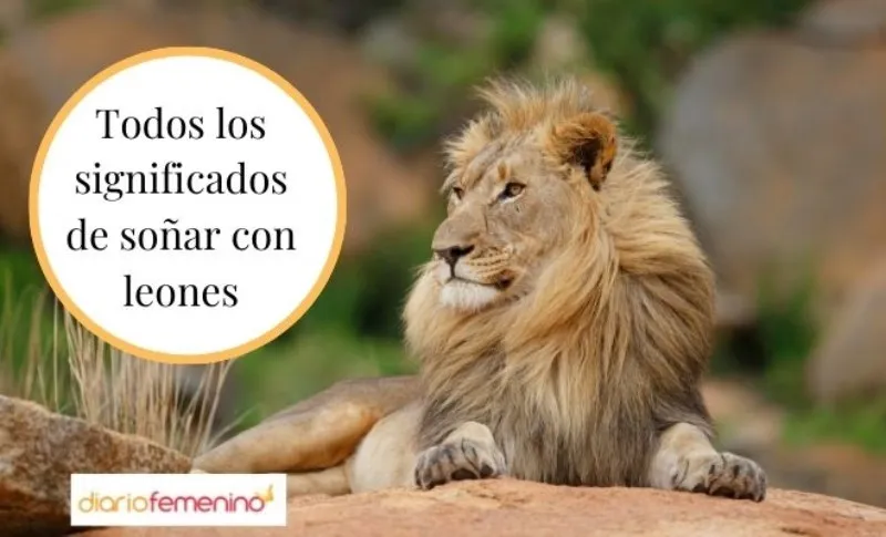 significado-biblico-de-sonar-con-leones