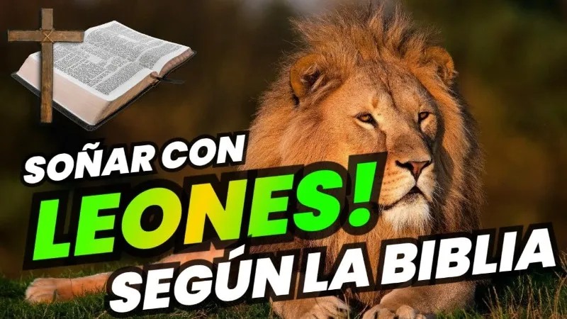 significado-biblico-de-sonar-con-leones