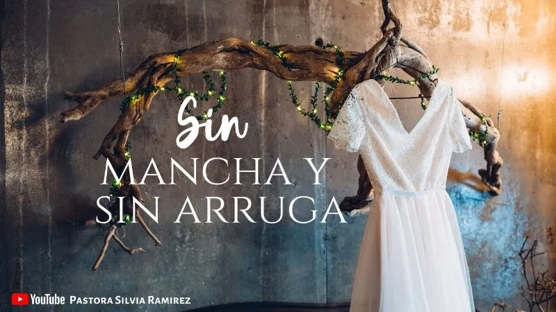 sin-mancha-y-sin-arruga