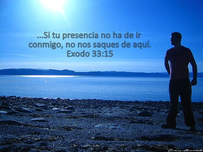 sin-tu-presencia