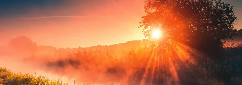sol-de-justicia