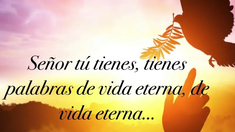 solo-tu-tienes-palabras-de-vida-eterna