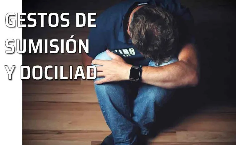 sumision-significado
