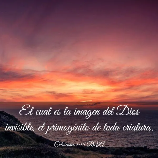 temprano-yo-te-buscare-biblia