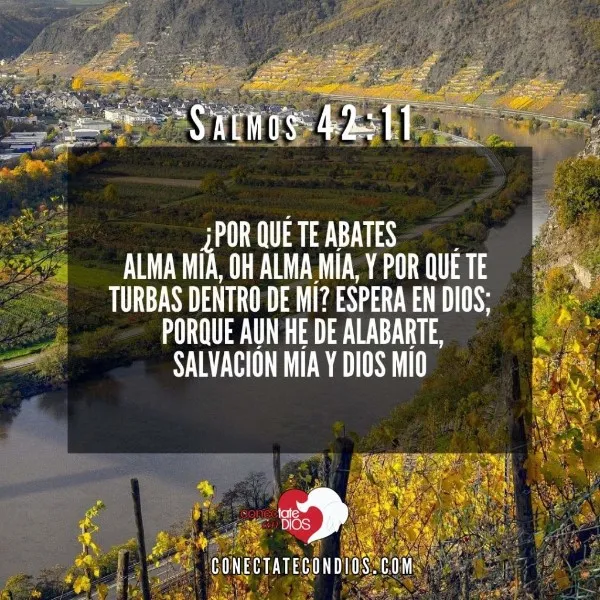 texto-biblico-de-esperanza