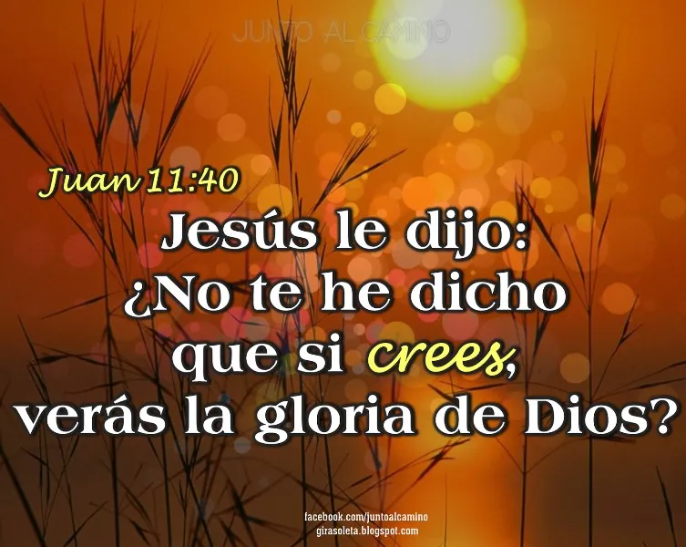 textos-biblicos-bonitos