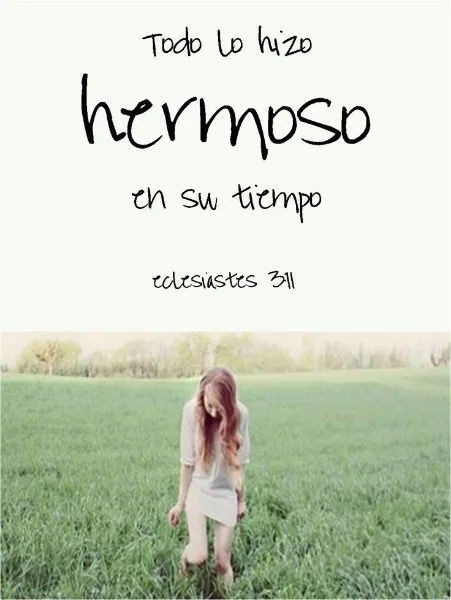 todo-lo-hizo-hermoso-en-su-tiempo
