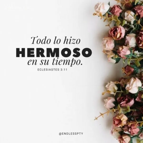 todo-lo-hizo-hermoso-en-su-tiempo