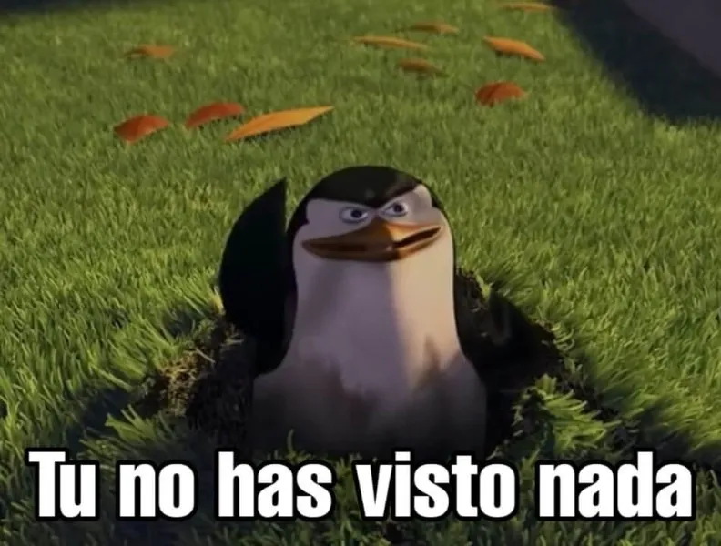 tu-no-has-visto-nada