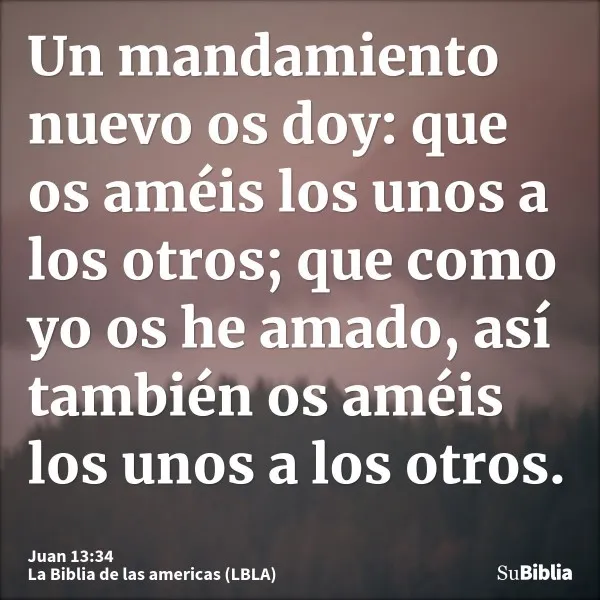 un-mandamiento-nuevo-os-doy