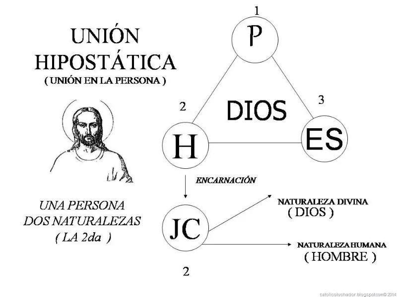 union-hipostatica