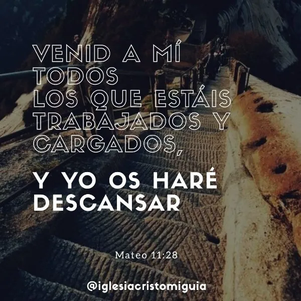 venid-a-mi-todos-los-que-estais-trabajados-y-cargados
