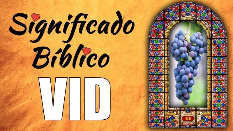 vid-significado-biblico