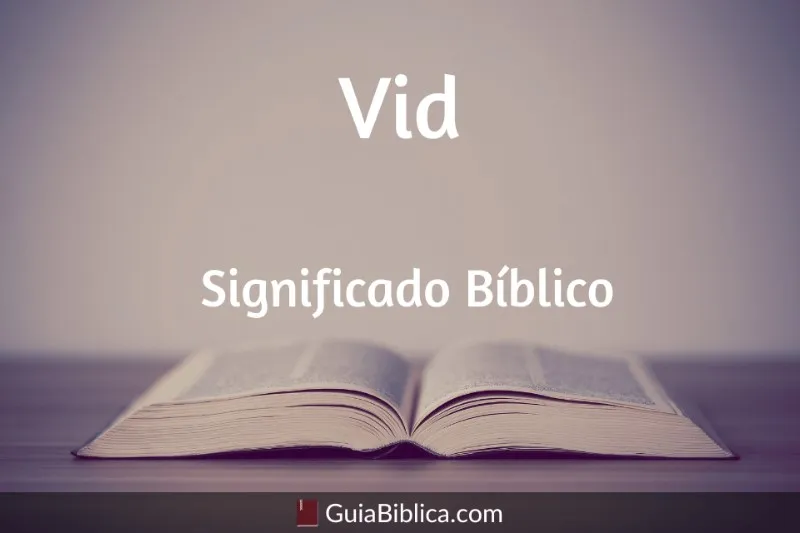 vid-significado-biblico