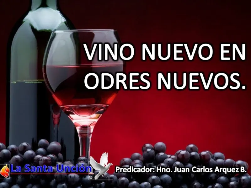 vino-nuevo-en-odres-nuevos