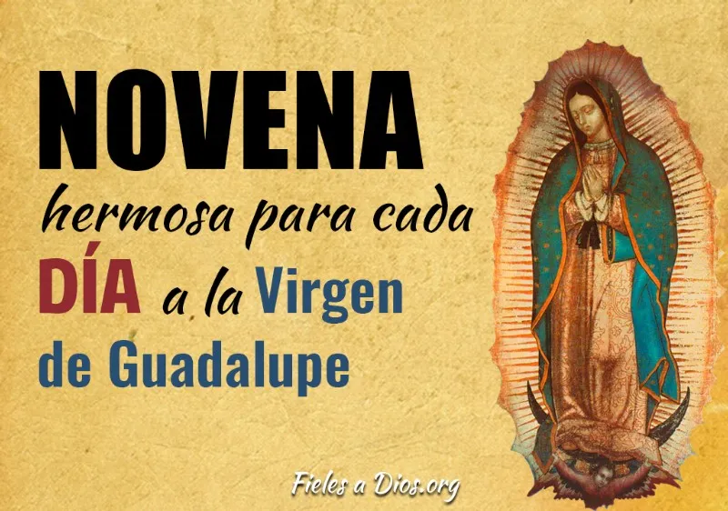 virgen-de-guadalupe-novena