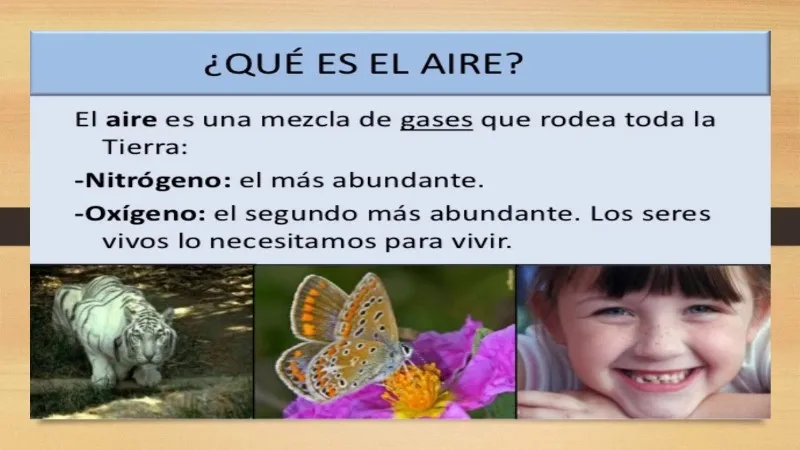 vivos-aire