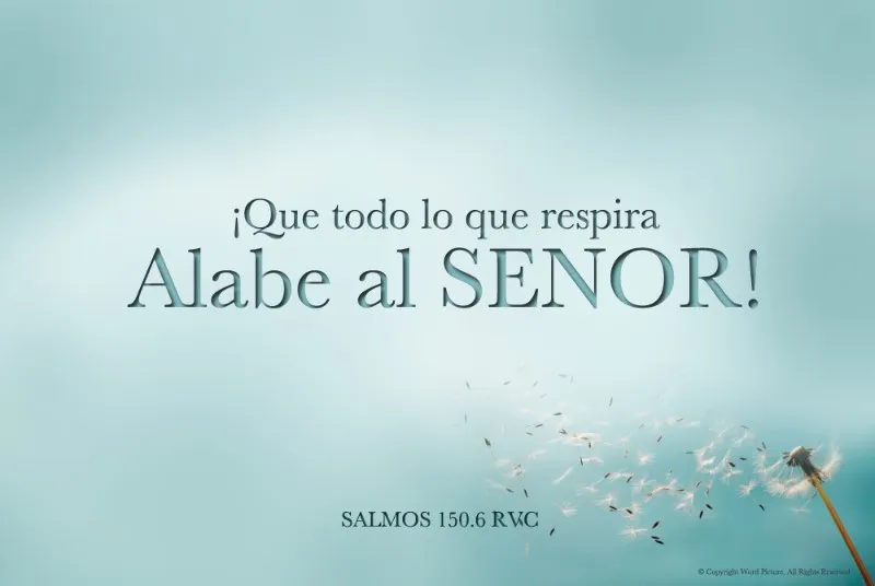 y-todo-lo-que-respire-alabe-a-jehova
