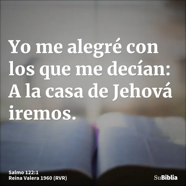 yo-me-alegre-con-los-que-me-decian