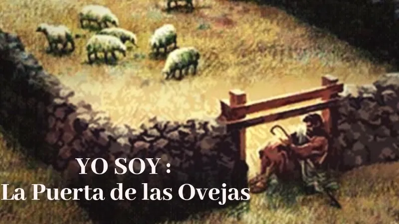 yo-soy-la-puerta-de-las-ovejas